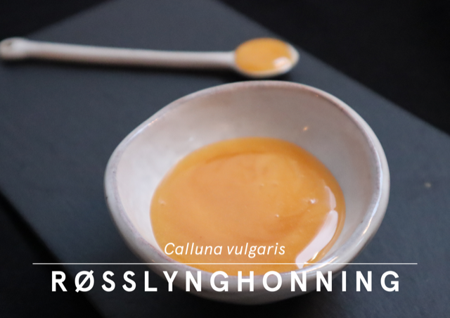 Røsslynghonning. Ragna Ribe Jørgensen