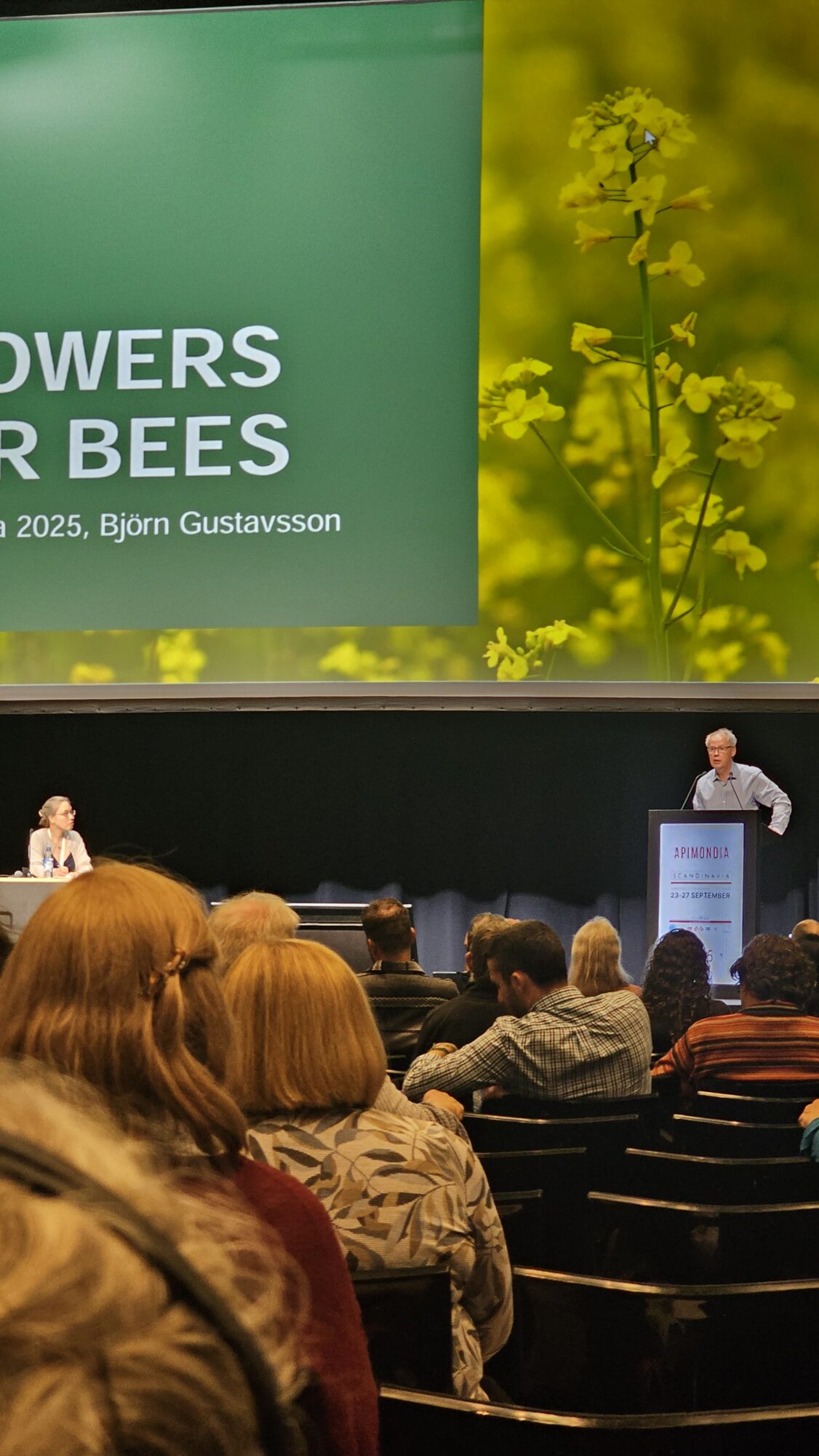 Flowers for bees.