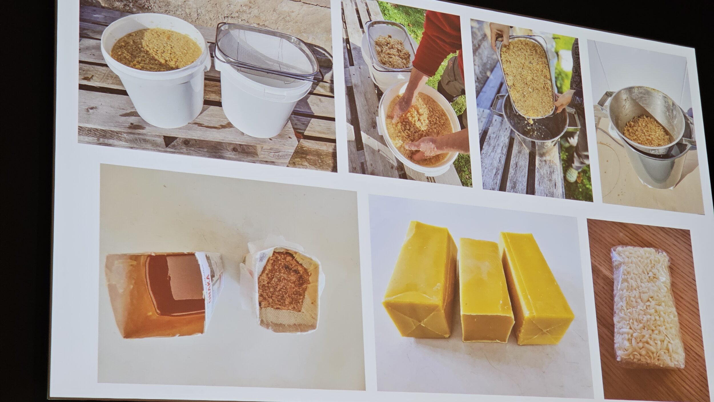 Global Honey Talks var en populær nyhet - birøktere snakket for birøktere. 